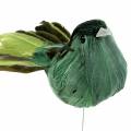 Floristik24 Plunksnos paukštis ant vielos žalias 12cm 4vnt