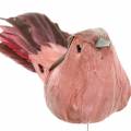 Floristik24 Paukštis plunksna ant vielos rožinė 12cm 4vnt