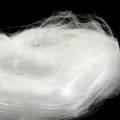 Floristik24 Fairy hair angel hair balti blizgūs 50g