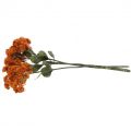 Floristik24 Stonecrop Orange Sedum Stonecrop dirbtinės gėlės H48cm 4vnt