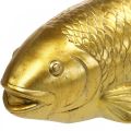 Floristik24 Dekoratyvinė žuvytė paguldomai, žuvies skulptūra poliresin auksinė didelė L25cm