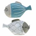 Floristik24 Deco žuvis su akiniais mėlyna balta 15,5/14,5cm 2vnt