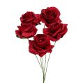 Floristik24 Putplasčio rožė Ø4,5cm raudona 36p