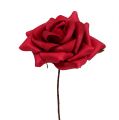 Floristik24 Putplasčio rožė Ø7,5cm raudona 18p