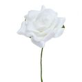 Floristik24 Putplasčio rožė Ø 7,5cm balta 18vnt