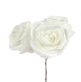 Floristik24 Putplasčio rožė balta su perlamutru Ø7,5cm 12p