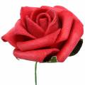 Floristik24 Putplasčio rožė Ø3,5cm raudona 48p