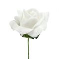 Floristik24 Putplasčio rožė Ø 3,5cm balta 48 vnt