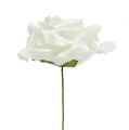 Floristik24 Putplasčio rožė balta Ø15cm 4vnt