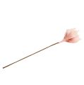Floristik24 Putplasčio gėlė magnolijos rožinė Ø15cm L65cm