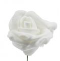 Floristik24 Putplasčio rožės baltos Ø3,5cm 20vnt