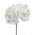 Floristik24 Putplasčio rožės baltos Ø5cm 12vnt