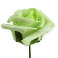 Floristik24 Putplasčio rožė Ø 6cm žalia 27p