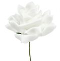 Floristik24 Putplasčio rožės baltos Ø10cm 8vnt