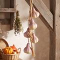 Česnakinė dekoracija pakabinimui, dirbtinė geltona violetinė, 50 cm | Floristik24.lt