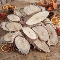 Beržo medienos griežinėliai ovalūs beržo griežinėliai 4-9cm 450g | Floristik24.lt