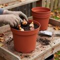 Augalų vazonas plastikinis Ø29cm 10vnt | Floristik24.lt