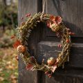 Dekoratyvinis vainikas, natūralus, Ø33cm, kerpės, samanos, durų vainikas, stalo dekoracija, sienų dekoracija | Floristik24.lt