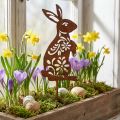 Sodo kuolas Rust Bunny gėlių raštas Sodo puošmena Velykų 9×15cm | Floristik24.lt