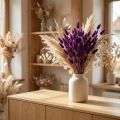 Aksominė žolė, kiškio uodegos žolė, Lagurus L20-50cm 25g | Floristik24.lt