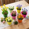 Plastikinė vazoninė gėlė Ø12cm 25 vnt | Floristik24.lt