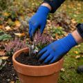 Kixx Gardening Gloves Mėlynos, Juodos 10 dydžio | Floristik24.lt