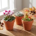 Gėlių vazonas molis Ø6cm aukštis 5cm 10vnt | Floristik24.lt