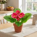 Raktažolės dirbtinės gėlės Cowslips Pink H25cm | Floristik24.lt