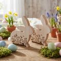 Bunny Wood Sėdimųjų gėlių raštas Natural White 24×24cm 2 vnt | Floristik24.lt