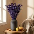 Braškių erškėčių sausas erškėtis Dekoratyvinis Violetinis 44-58cm 100g | Floristik24.lt