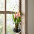 Vynuogių hiacintas dirbtinis rožinis stiklinėje 16cm | Floristik24.lt
