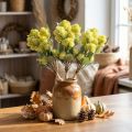 Riebalai vištiena Green Sedum Stonecrop Dirbtinės gėlės 41cm 3vnt | Floristik24.lt