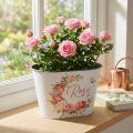 Sodinamoji, dekoratyvinės vazoninės rožės, gėlių dubuo L19cm A12,5cm | Floristik24.lt