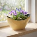 Augalų valtis geltona dekoratyvinė dubeninė spyruoklė 20x9x12cm | Floristik24.lt