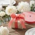 Nėrinių juostelė dekoratyvinė juostelė Coral W16mm L20m | Floristik24.lt