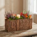 Pailga medinė gėlių dėžutė, pušų žievės gėlių dėžutė, 27 × 10 cm | Floristik24.lt
