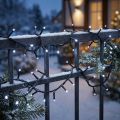 LED ryžių šviesos grandinėlė 40s 3m lauko šaltai baltai | Floristik24.lt