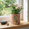 Dekoratyvinis lašišos formos metalinis vazonas Ø15,5 cm, aukštis 15 cm | Floristik24.lt