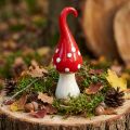 Deco musmirė keramika Deco grybas raudonas baltas Ø6.5cm H21cm | Floristik24.lt