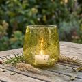 Vėjo šviesos stiklo apdaila vintažinė geltona žalia Ø12cm H12,5cm | Floristik24.lt