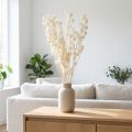 Džiovintos balintos žibintų formos fizalis (Nicandra) 75-80cm 100g | Floristik24.lt