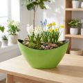 Augalinės valties žalias dekoratyvinis dubuo ovalus 20cmx9cmx12cm | Floristik24.lt