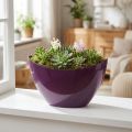 Augalinės valties dekoratyvinis dubuo violetinis 20×9cm H12cm | Floristik24.lt