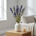 Džiovintas delfinis, sausas floristika, delphinium blue L64cm 25g | Floristik24.lt