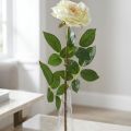Dirbtinė rožė, dekoratyvinė rožė, šilkine gėlė kreminė balta, žalia L72cm Ø12cm | Floristik24.lt