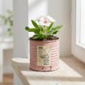Dekoratyvinis skardinis apvalus sendintos rožės metalinis vazonas Ø8cm A7.5cm | Floristik24.lt