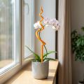 Orchidėjų kuolas, plastikinis, oranžinis, laipiojimo priemonė orchidėjoms, aukštis 64 cm | Floristik24.lt