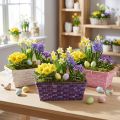 Skiedrų krepšelis kvadratinis violetinis/baltas/rožinis 6 vnt | Floristik24.lt