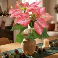 Dirbtinė Poinsettia Red Pink L35cm 6vnt 2 kek | Floristik24.lt