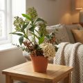 Dirbtinės žalios japoninės Skimmia japonica gėlės, 45 cm, 2 vnt. | Floristik24.lt